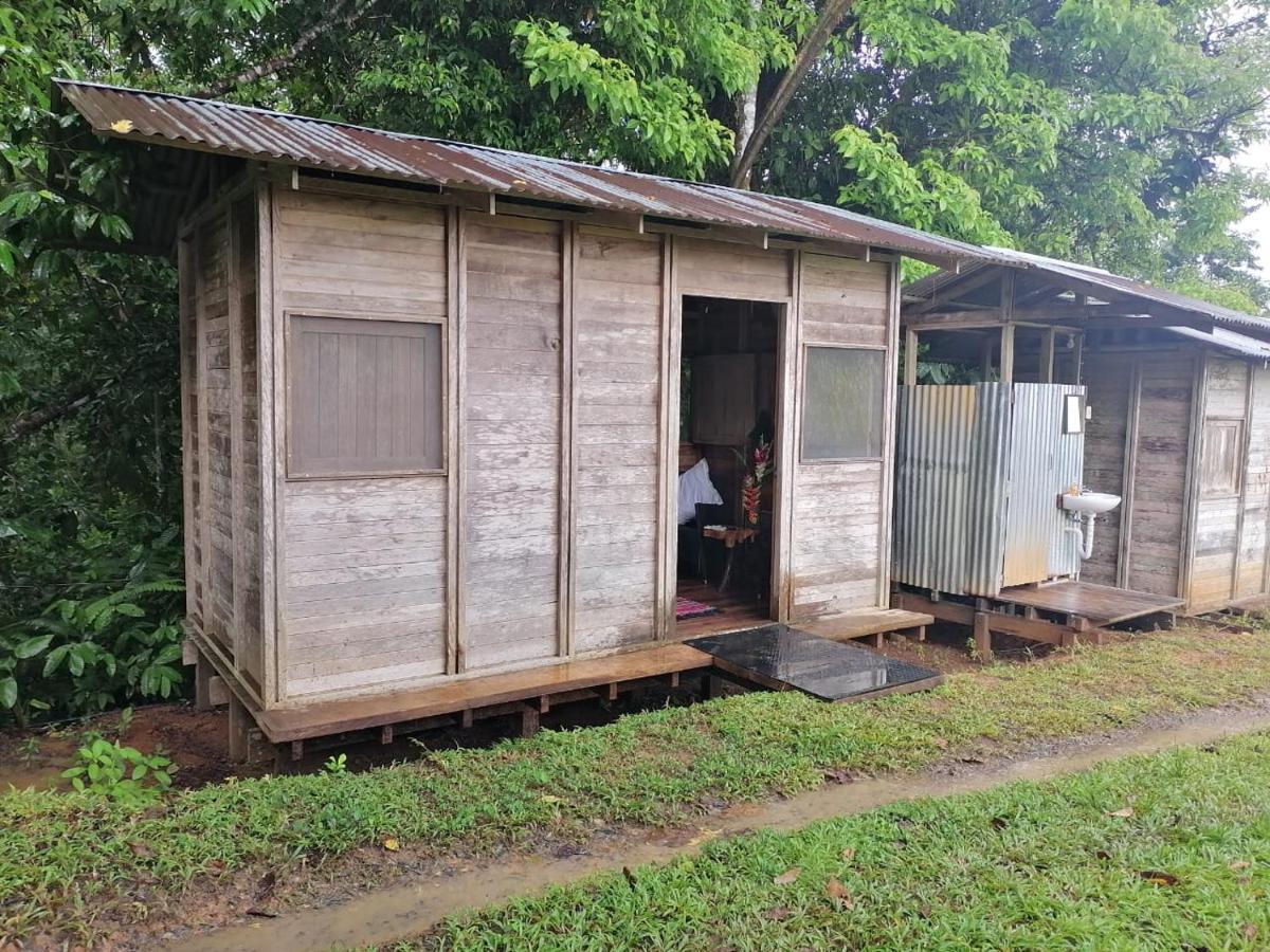 Finca Sueno De Osa Puerto Jiménez Exteriör bild