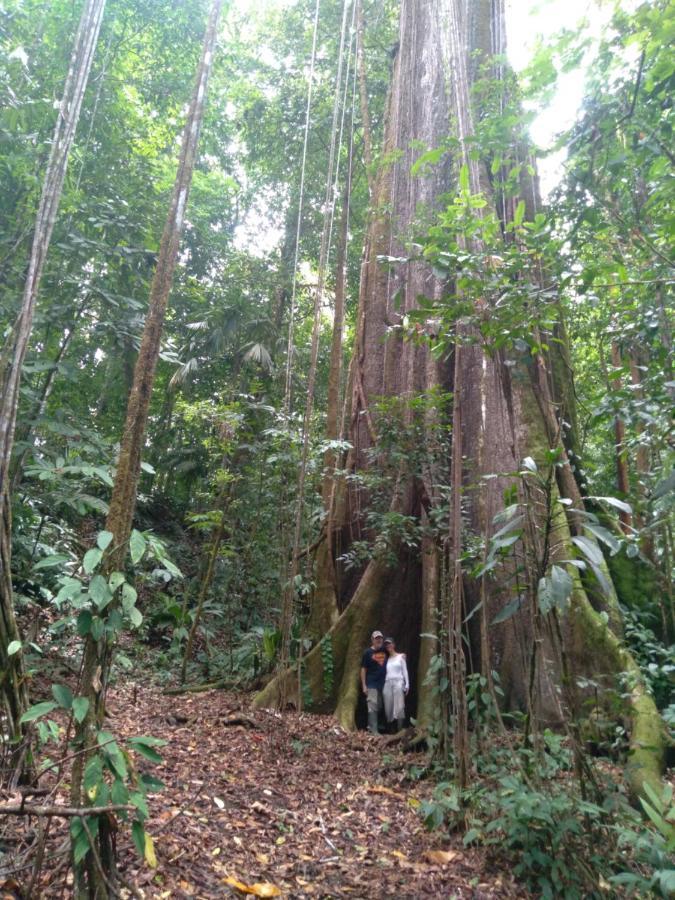 Finca Sueno De Osa Puerto Jiménez Exteriör bild
