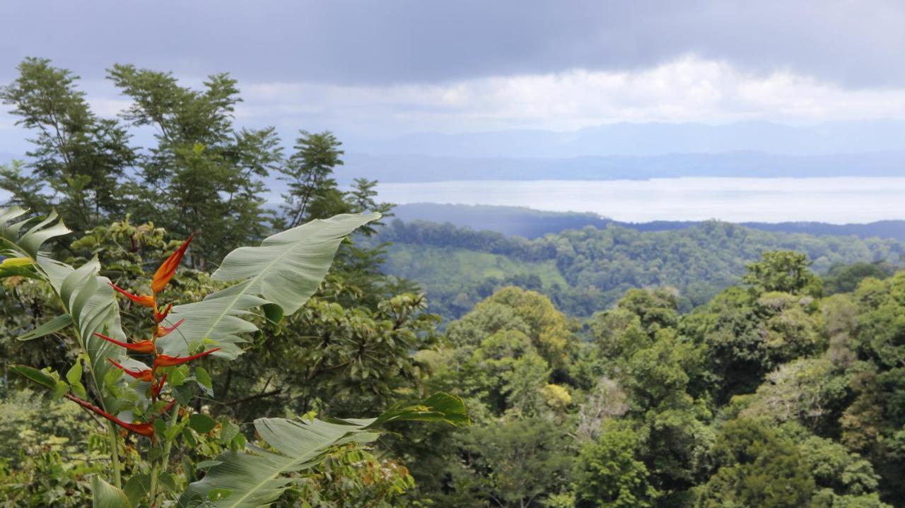 Finca Sueno De Osa Puerto Jiménez Exteriör bild